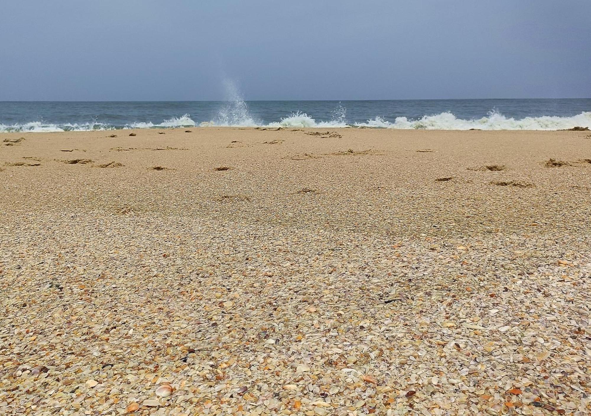 Marari Beach Cleetus Homestay Mararikulam Exteriör bild